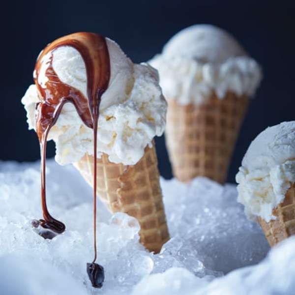 バイタミックス バイタミックス